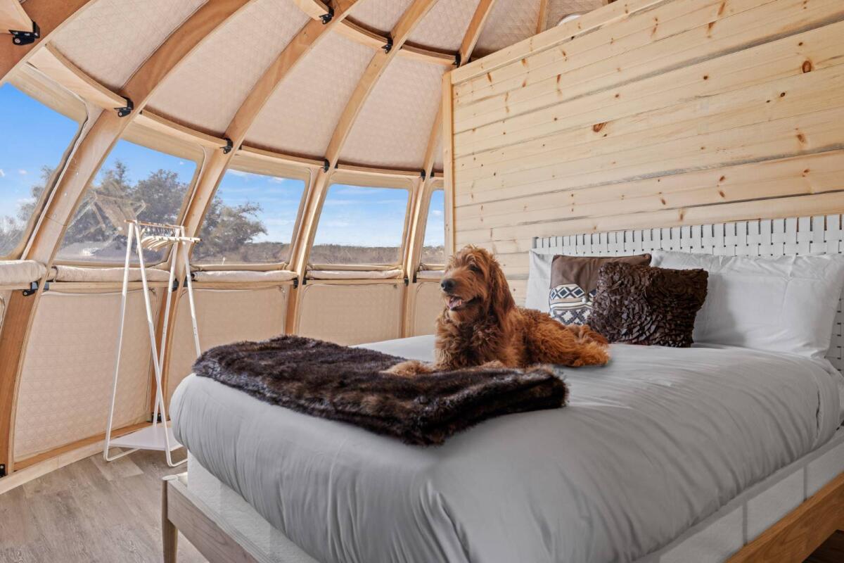 Alt text: "Interior of a geodesic dome house featuring a cozy bedroom with a dog resting on the bed. The room showcases wooden paneling and large porthole windows, offering a scenic view. Ideal for luxury glamping or a stylish backyard office."