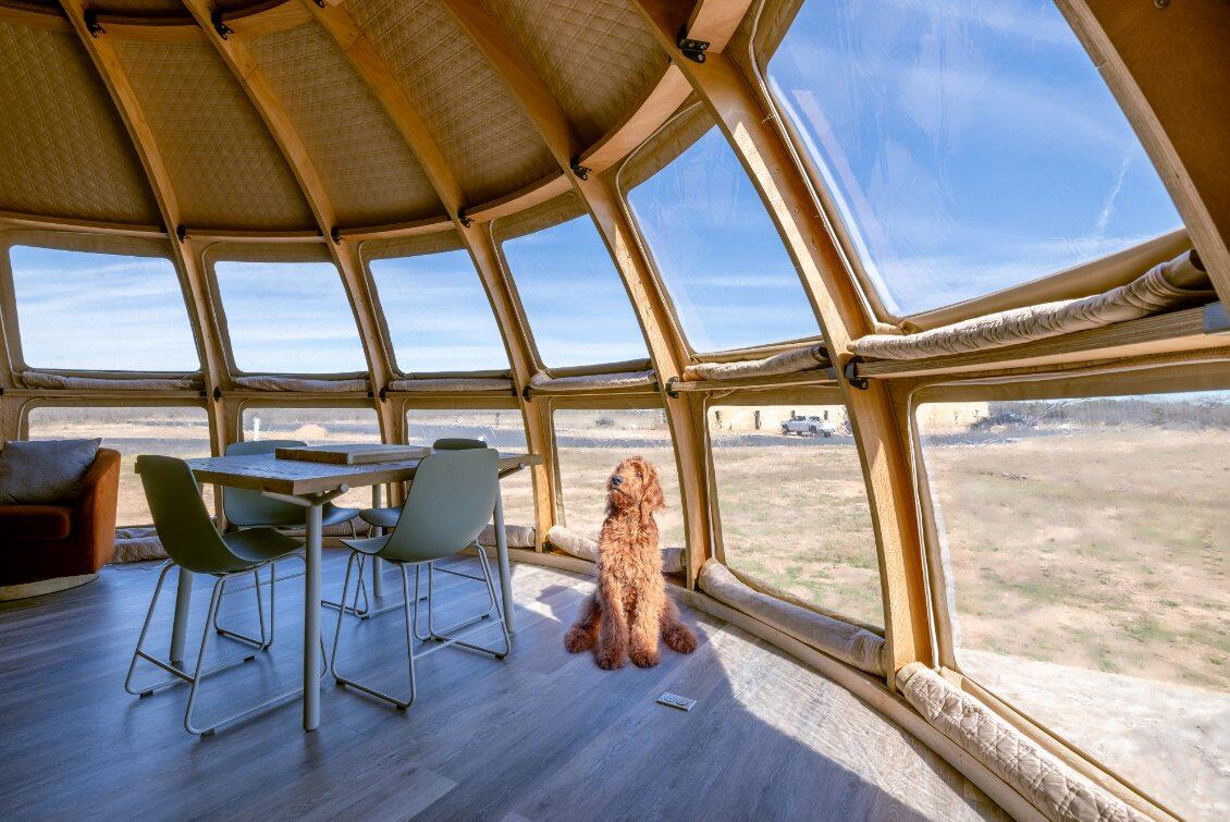 Interior view of a spacious geodesic dome with large porthole windows, featuring a modern dining table and chairs, and a dog sitting on the floor. Ideal for luxury glamping, this dome home offers a stylish and sustainable living solution.