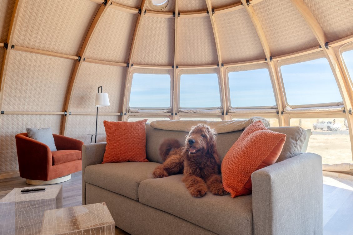 A cozy interior of a geodesic dome house featuring a comfortable sofa with orange pillows and a dog lounging on it. The dome&